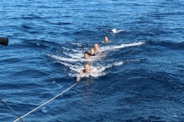 Fünf Menschen schwimmen im Meer